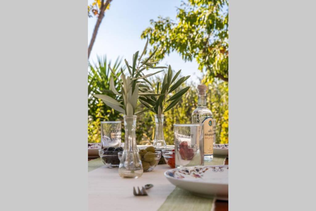 Nina-Myrtia Countryside House Skopelos Ditropo Dış mekan fotoğraf